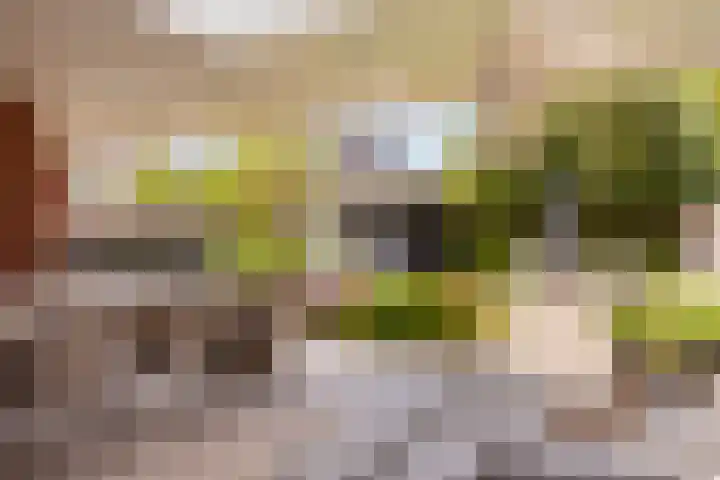 Oude Rietkamp 17 Borne thumbnail 33