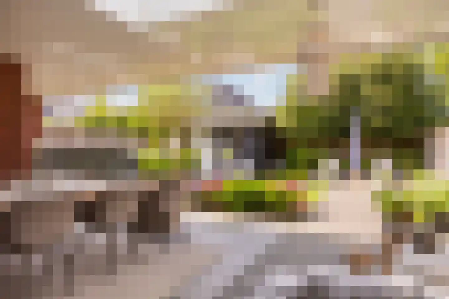 Oude Rietkamp 17 Borne thumbnail 33