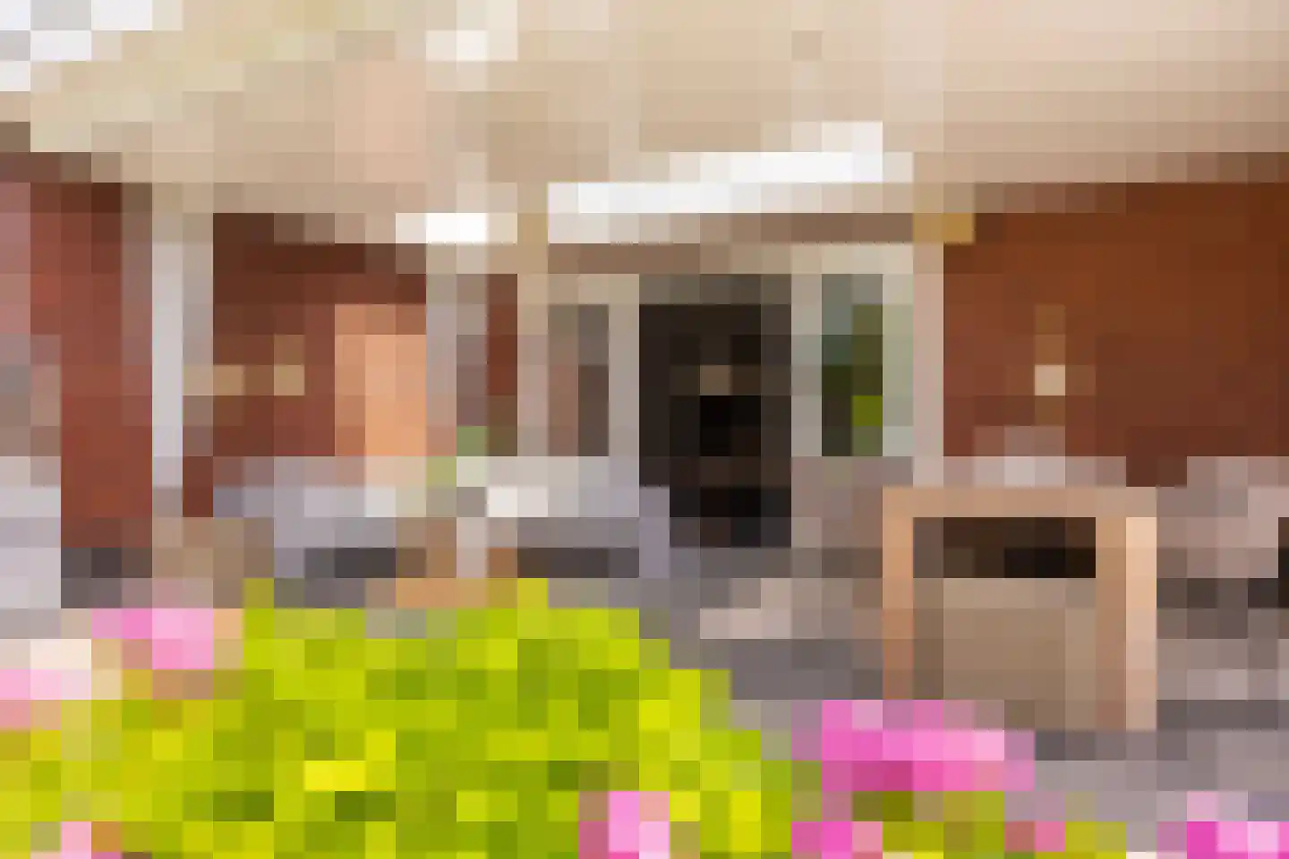 Oude Rietkamp 17 Borne thumbnail 36