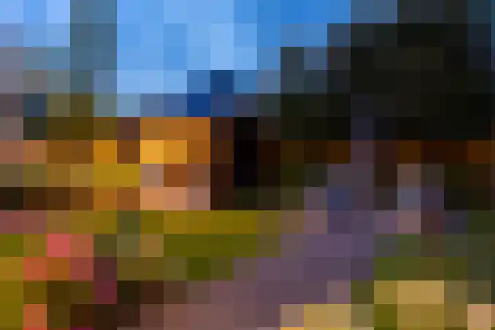 Oude Rietkamp 17 Borne thumbnail 38