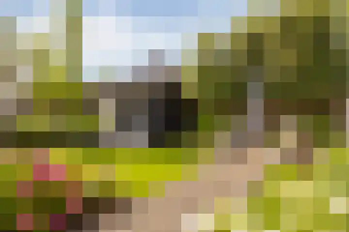 Oude Rietkamp 17 Borne thumbnail 39