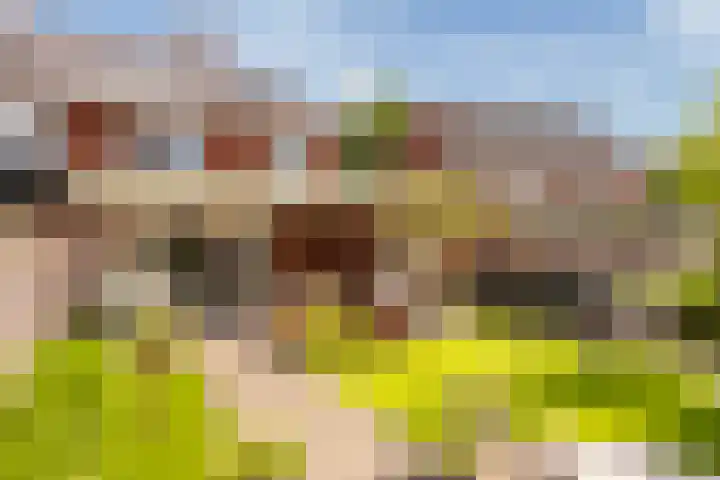 Oude Rietkamp 17 Borne thumbnail 43