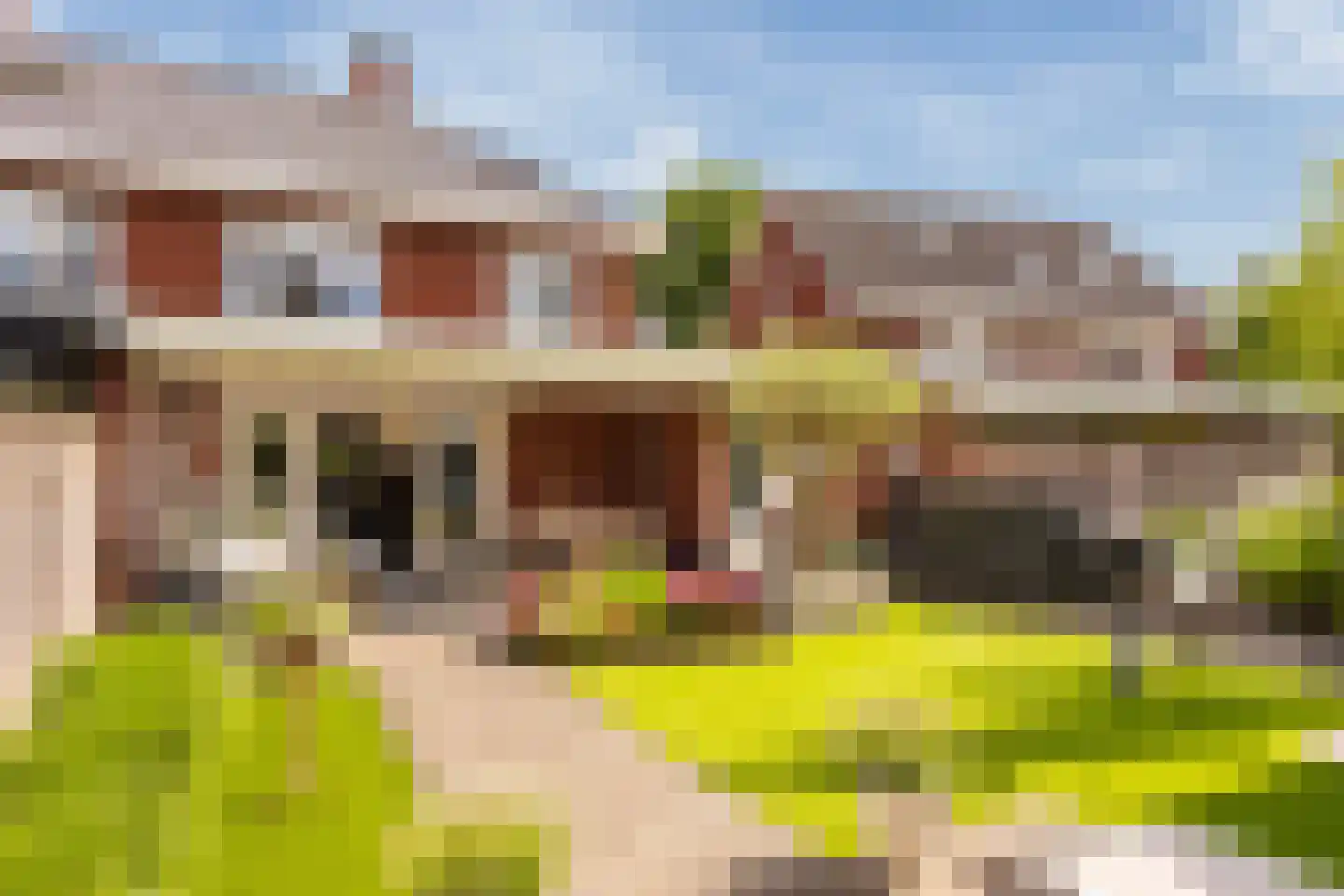 Oude Rietkamp 17 Borne thumbnail 43