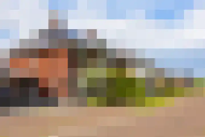 Oude Rietkamp 17 Borne thumbnail 45