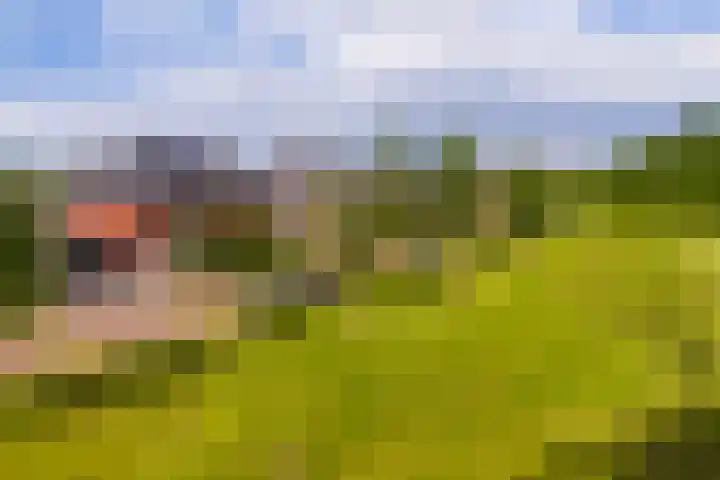 Oude Rietkamp 17 Borne thumbnail 46