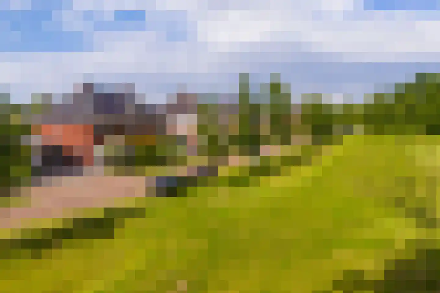 Oude Rietkamp 17 Borne thumbnail 46