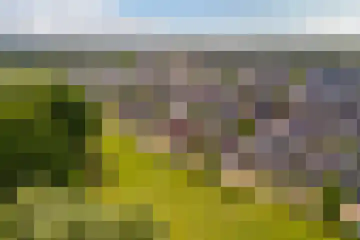 Oude Rietkamp 17 Borne thumbnail 47