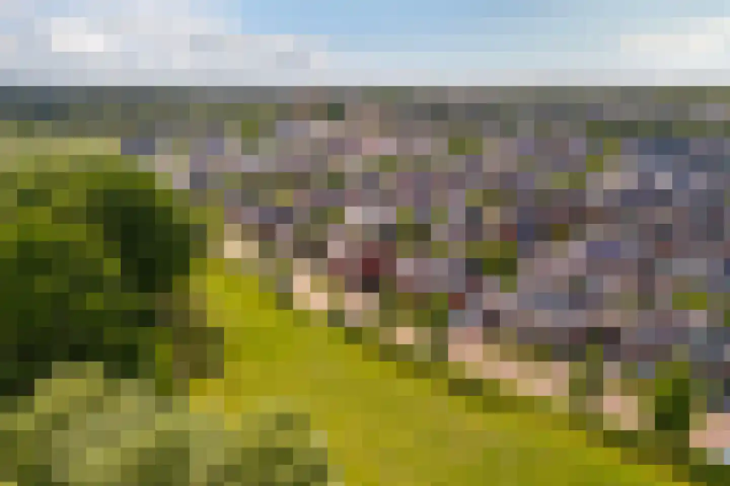 Oude Rietkamp 17 Borne thumbnail 47
