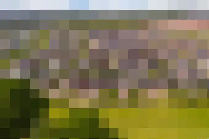 Oude Rietkamp 17 Borne thumbnail 48