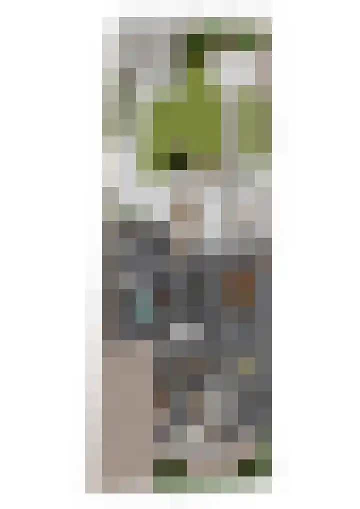 Oude Rietkamp 17 Borne thumbnail 53