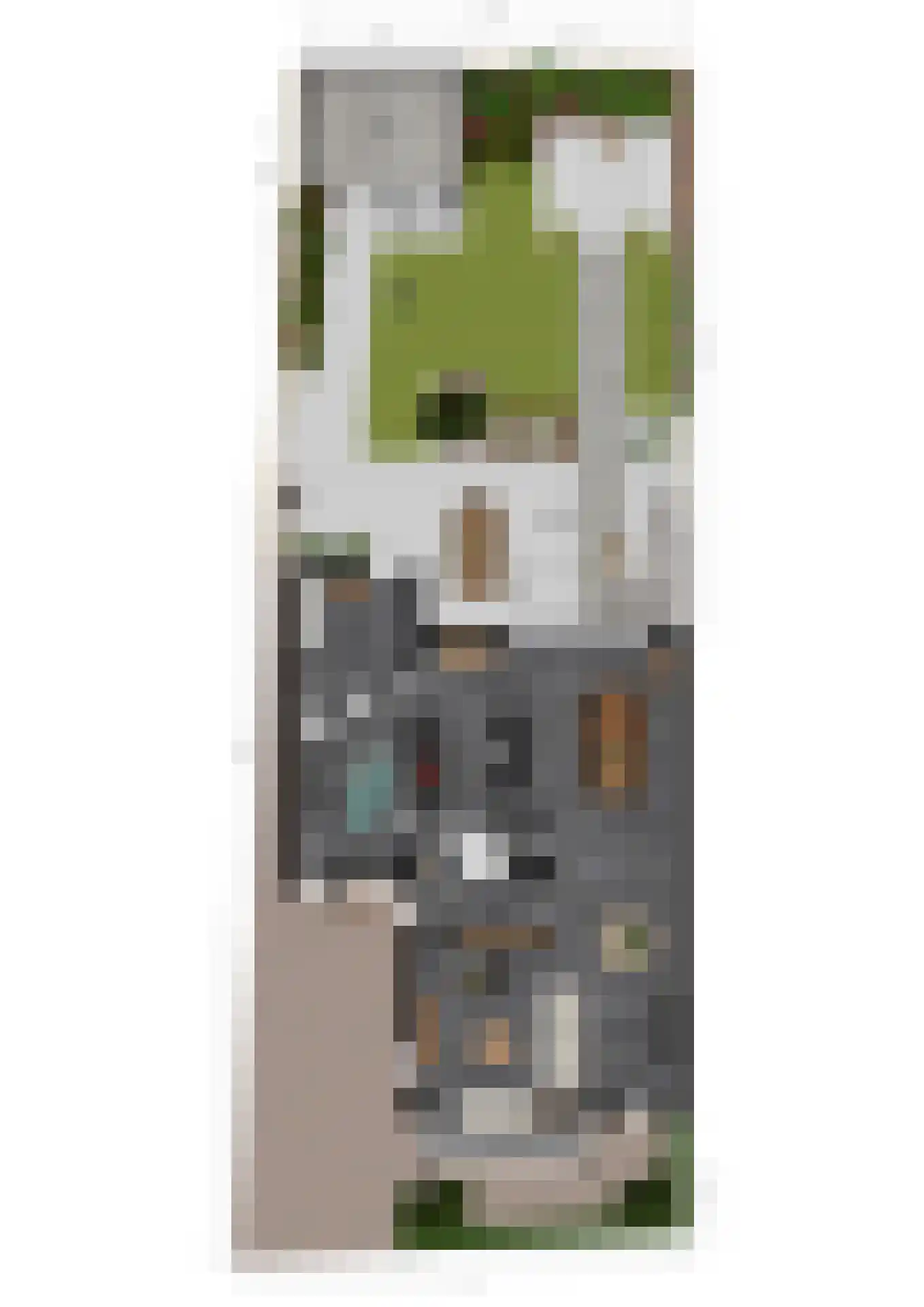 Oude Rietkamp 17 Borne thumbnail 53