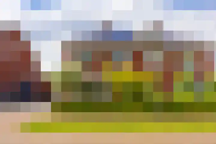 Oude Rietkamp 17 Borne thumbnail 7