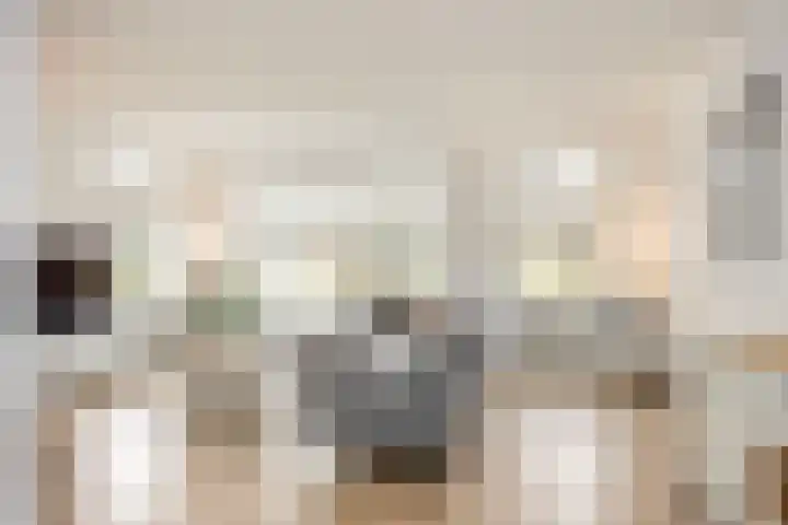 Oude Rietkamp 27 Borne thumbnail 11