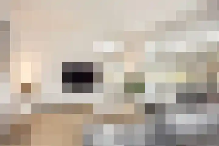 Oude Rietkamp 27 Borne thumbnail 12