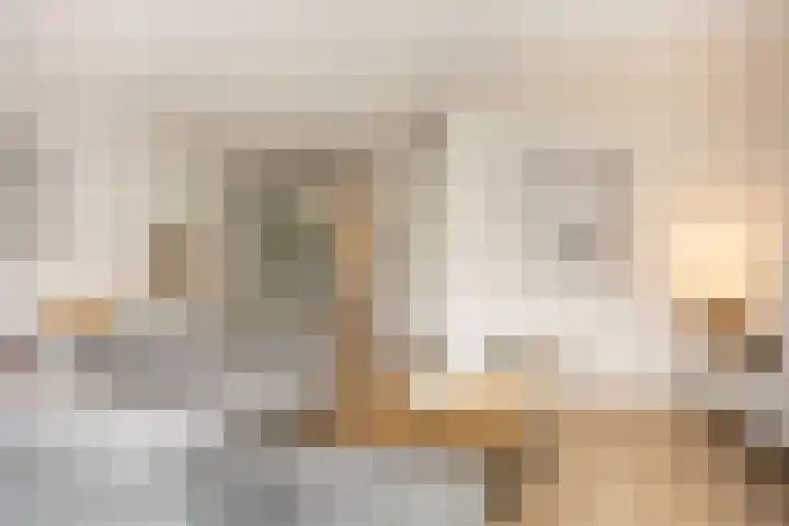 Oude Rietkamp 27 Borne thumbnail 13