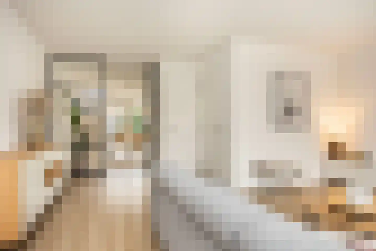 Oude Rietkamp 27 Borne thumbnail 14