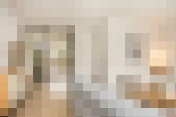 Oude Rietkamp 27 Borne thumbnail 14