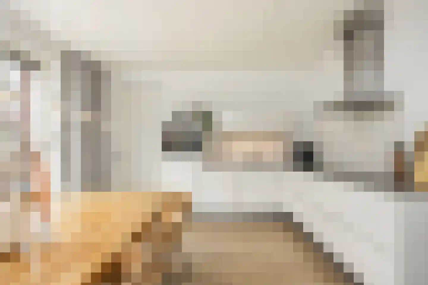 Oude Rietkamp 27 Borne thumbnail 17