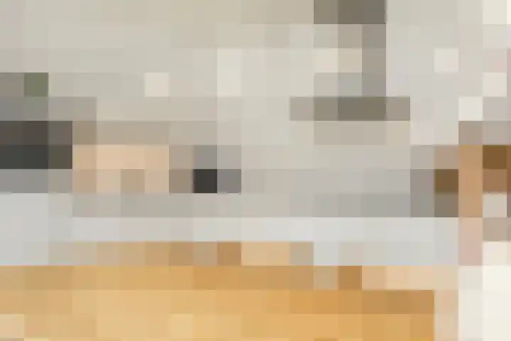 Oude Rietkamp 27 Borne thumbnail 18