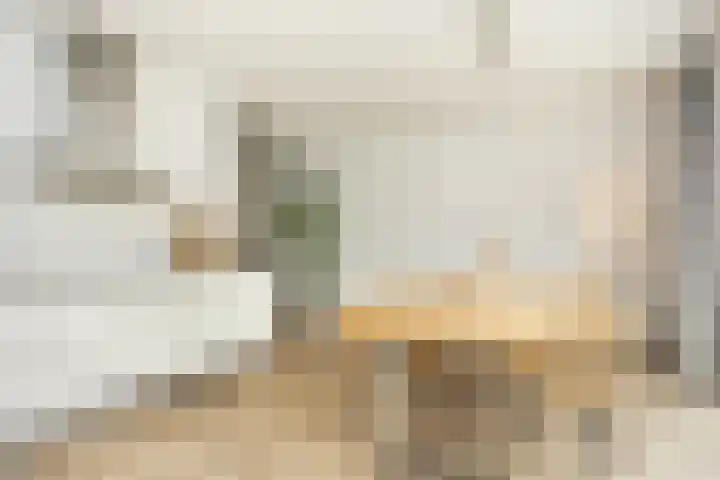 Oude Rietkamp 27 Borne thumbnail 19