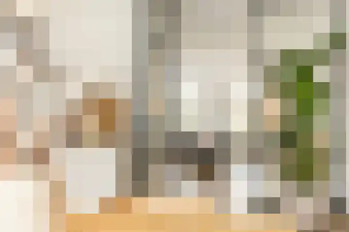 Oude Rietkamp 27 Borne thumbnail 20