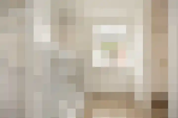 Oude Rietkamp 27 Borne thumbnail 22