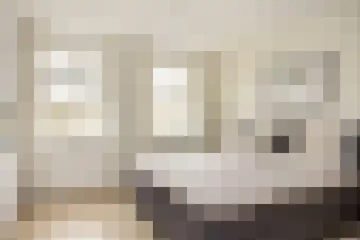 Oude Rietkamp 27 Borne thumbnail 23