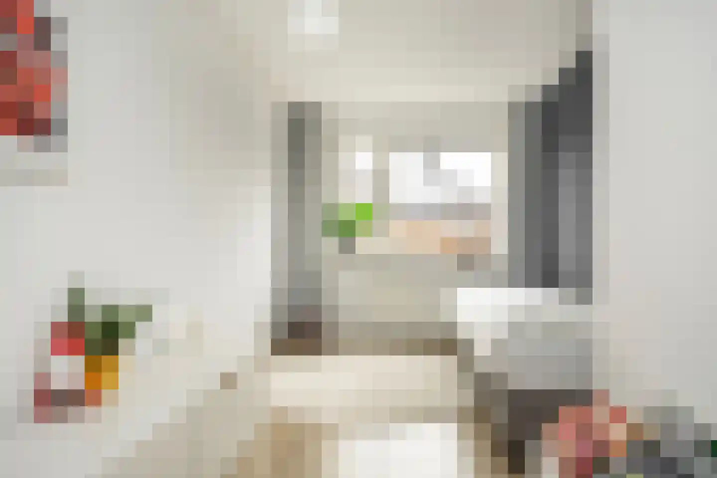 Oude Rietkamp 27 Borne thumbnail 25