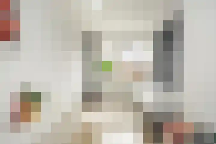 Oude Rietkamp 27 Borne thumbnail 25