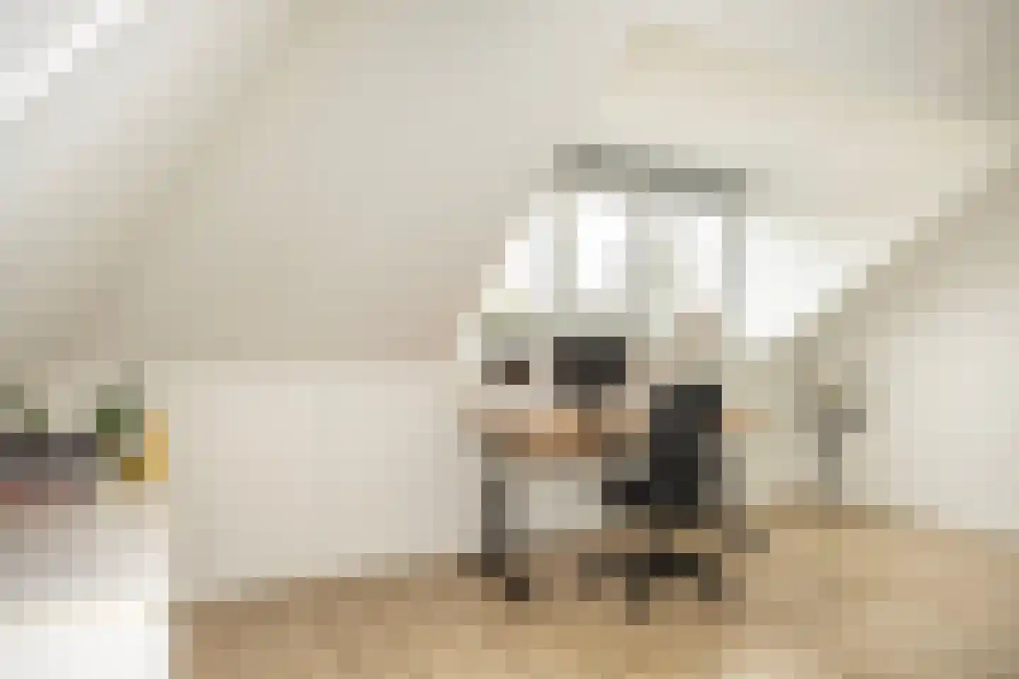 Oude Rietkamp 27 Borne thumbnail 29