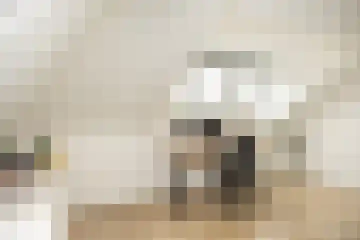 Oude Rietkamp 27 Borne thumbnail 29