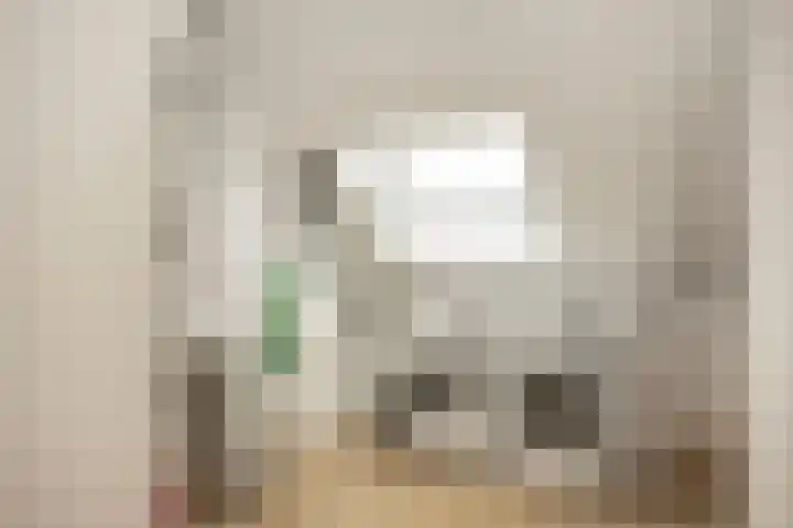 Oude Rietkamp 27 Borne thumbnail 30