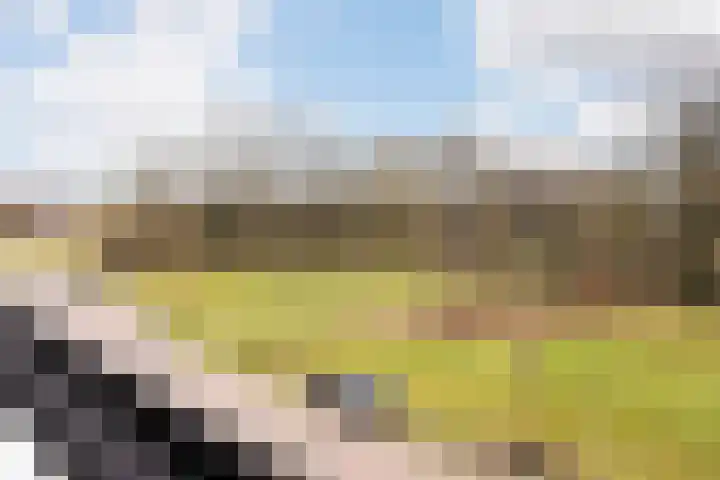 Oude Rietkamp 27 Borne thumbnail 31