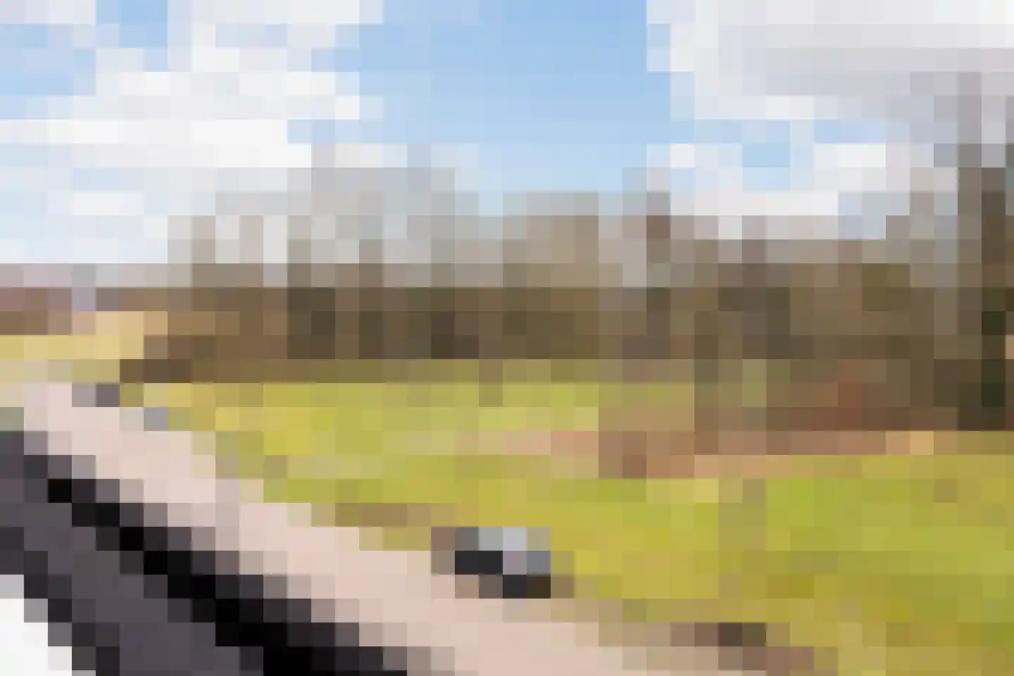 Oude Rietkamp 27 Borne thumbnail 31