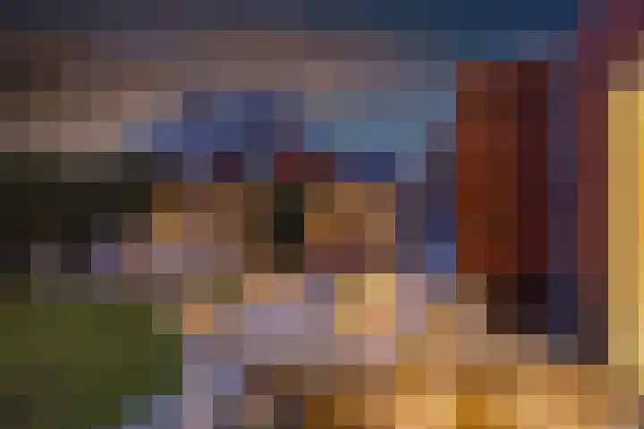 Oude Rietkamp 27 Borne thumbnail 35