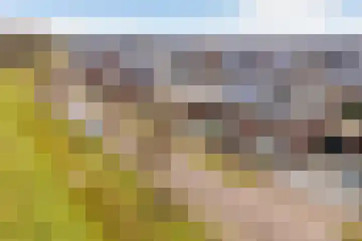 Oude Rietkamp 27 Borne thumbnail 42