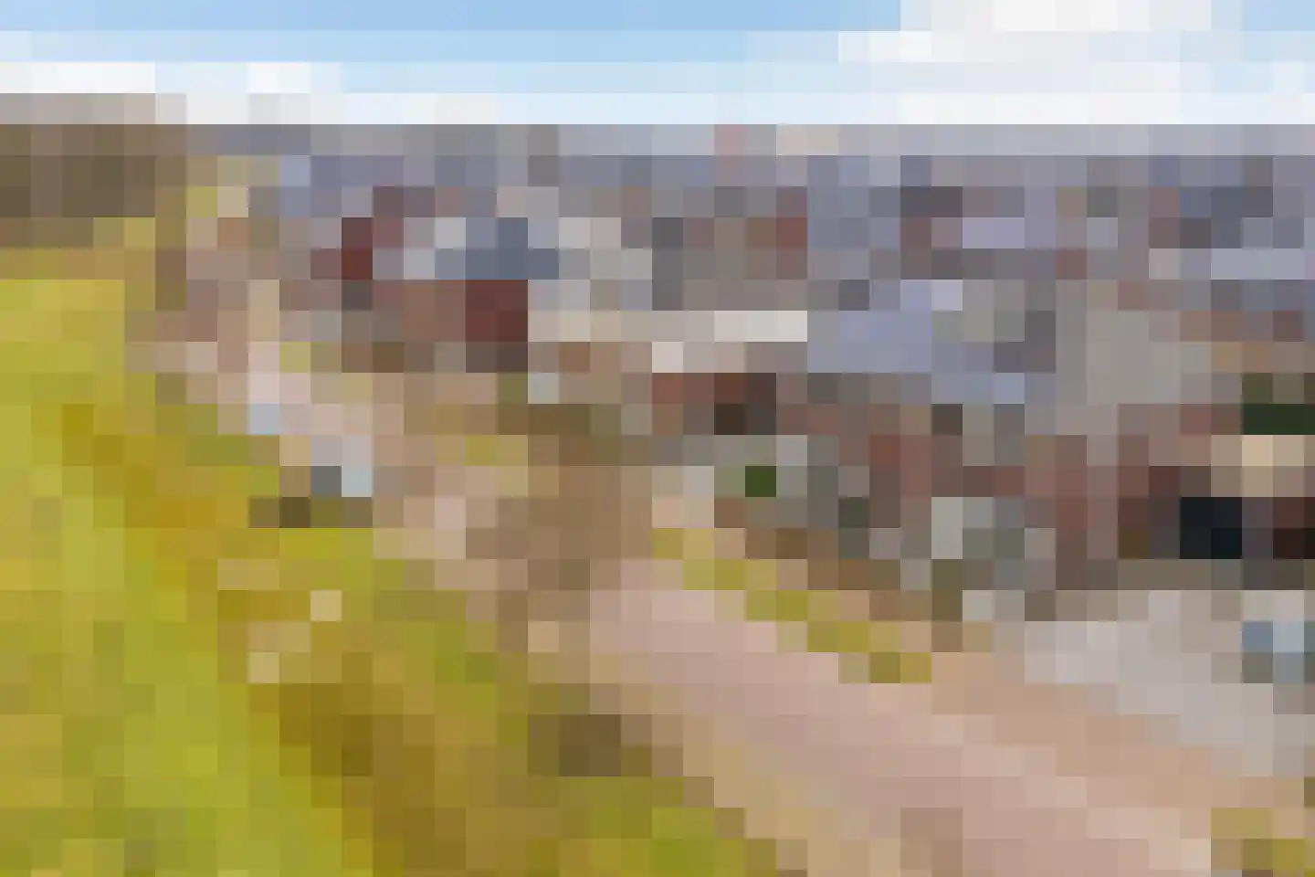 Oude Rietkamp 27 Borne thumbnail 42