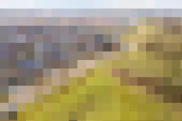Oude Rietkamp 27 Borne thumbnail 43