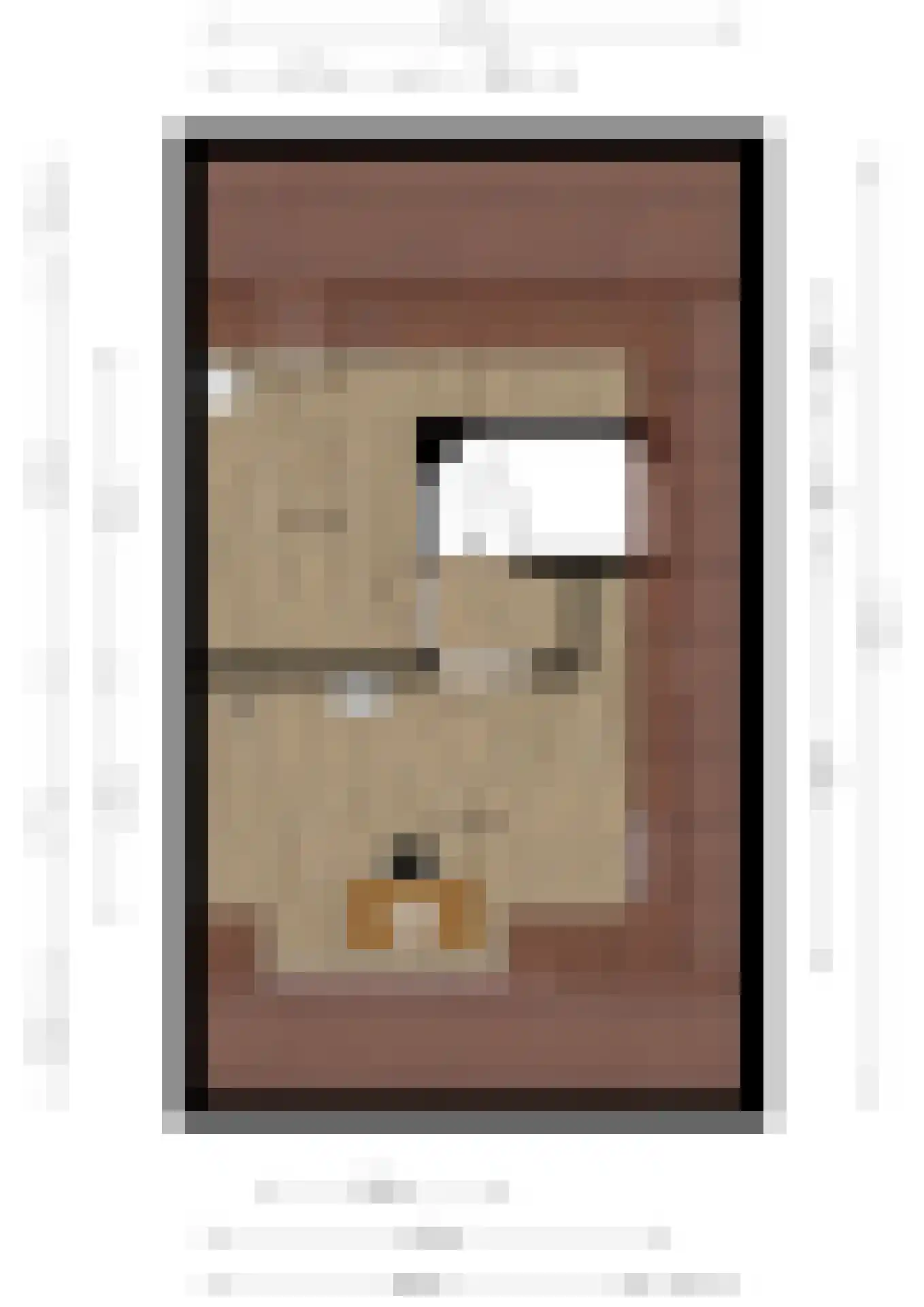 Oude Rietkamp 27 Borne thumbnail 48