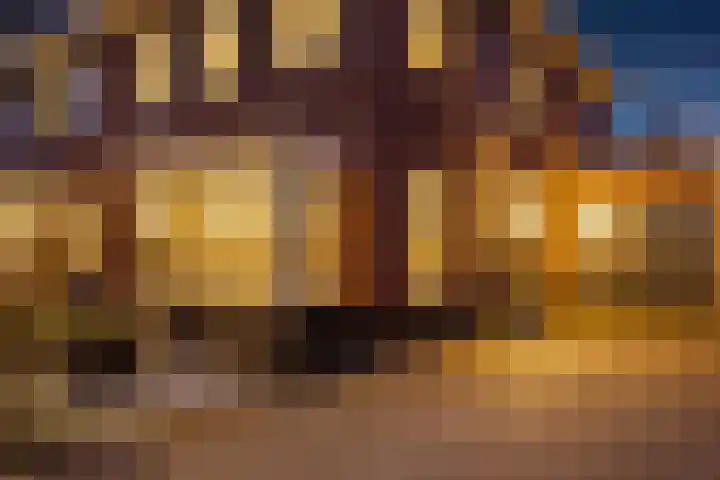 Oude Rietkamp 27 Borne thumbnail 7