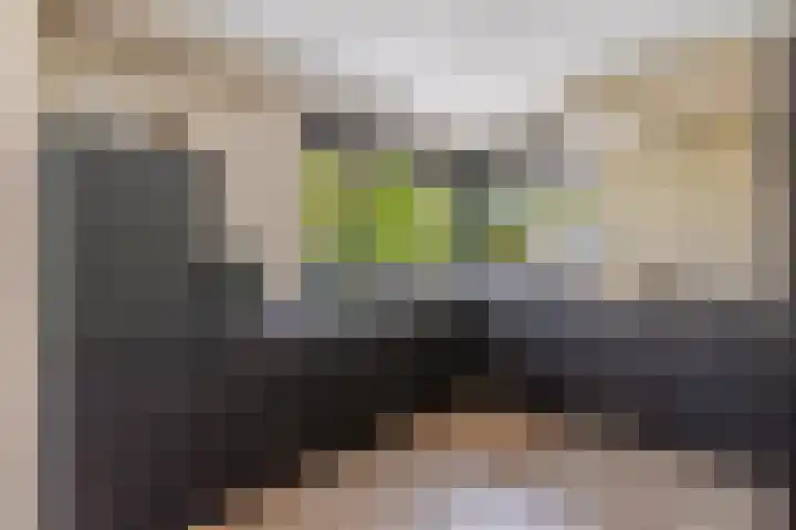 Oude Rietkamp 35 Borne thumbnail 11