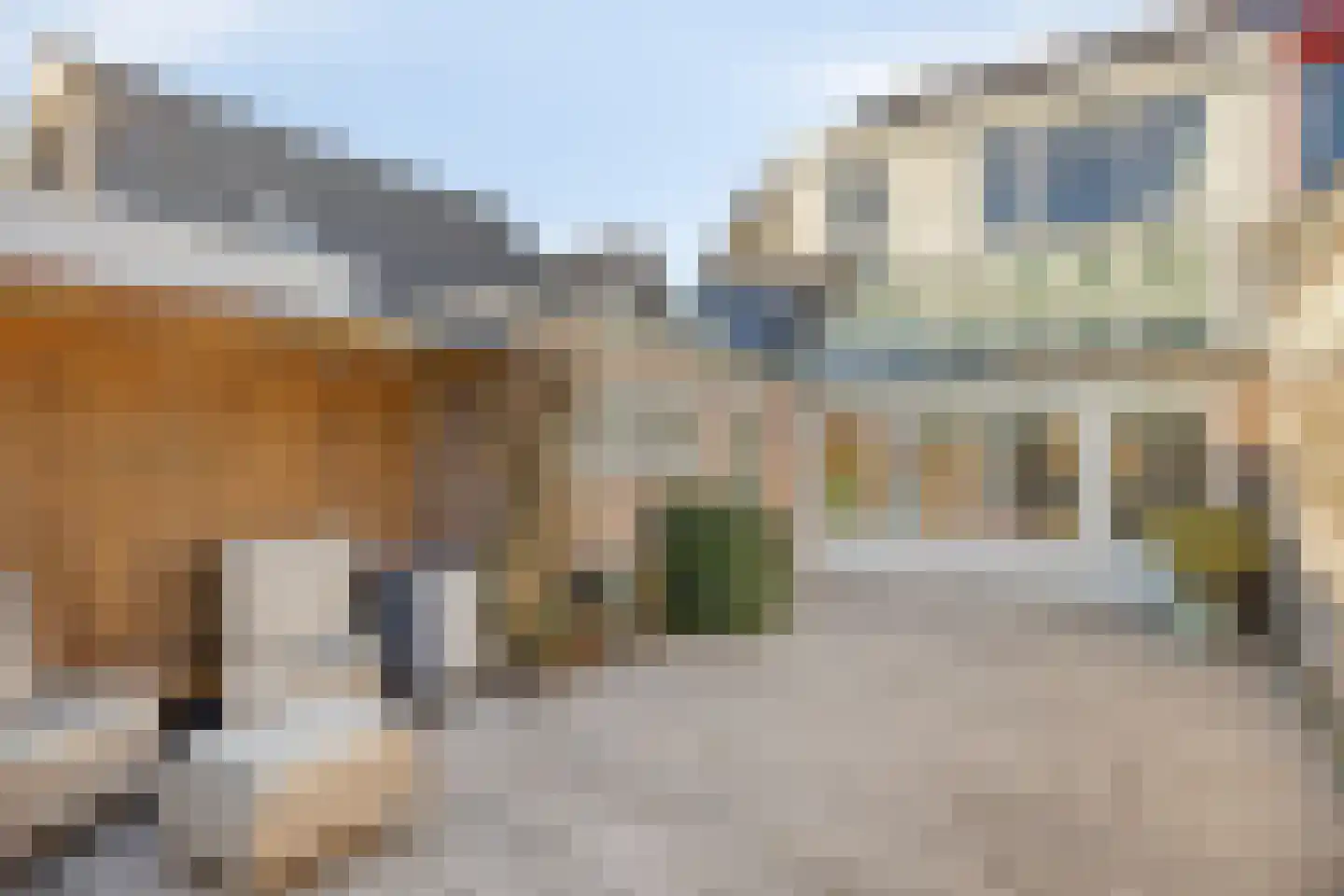 Oude Rijksstraatweg 11 Twello thumbnail 26