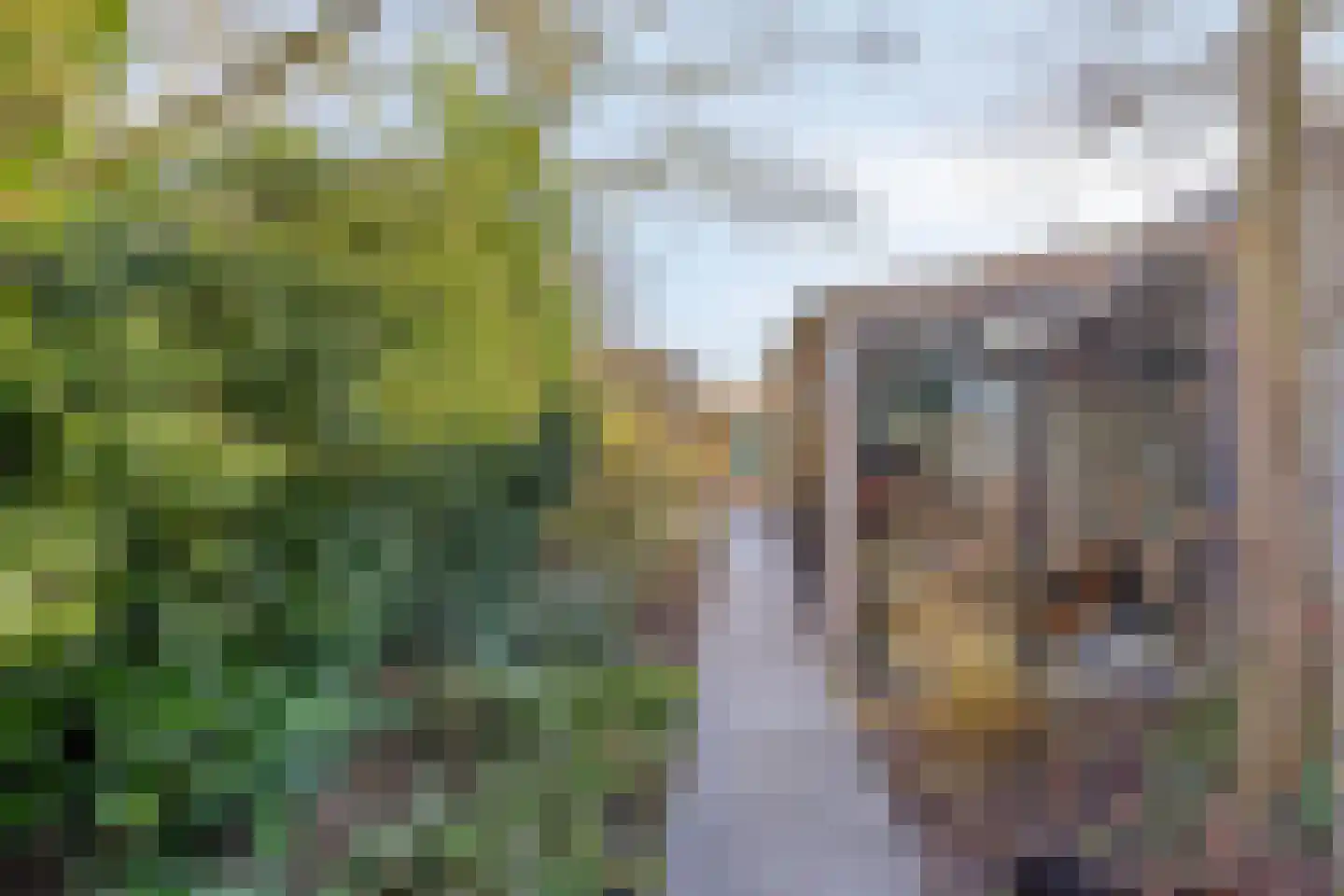 Oude Rijksstraatweg 11 Twello thumbnail 28