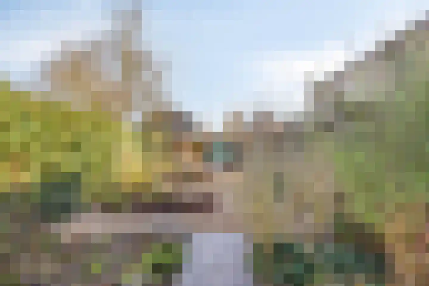 Oude Rijksstraatweg 11 Twello thumbnail 31