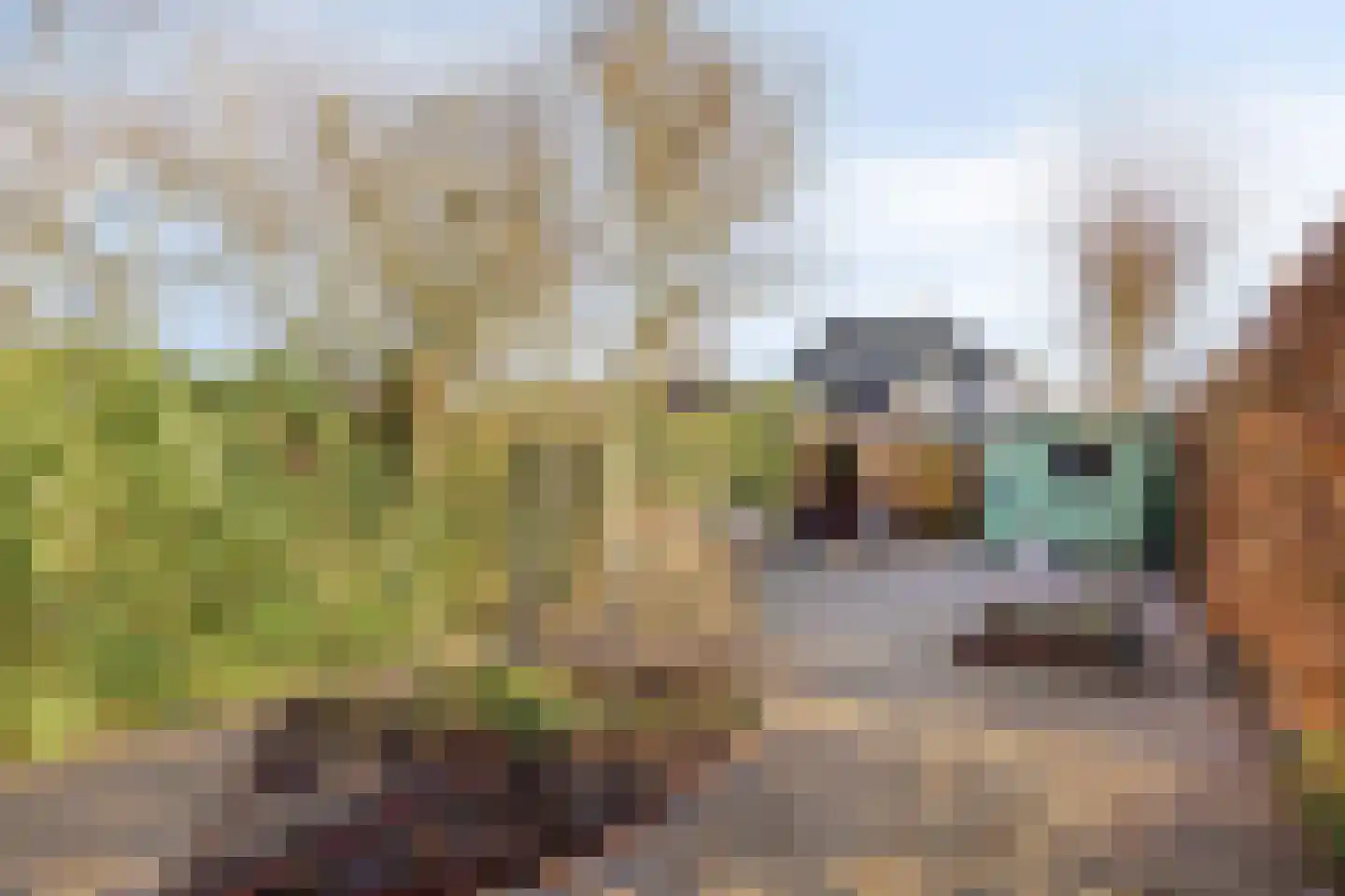 Oude Rijksstraatweg 11 Twello thumbnail 32