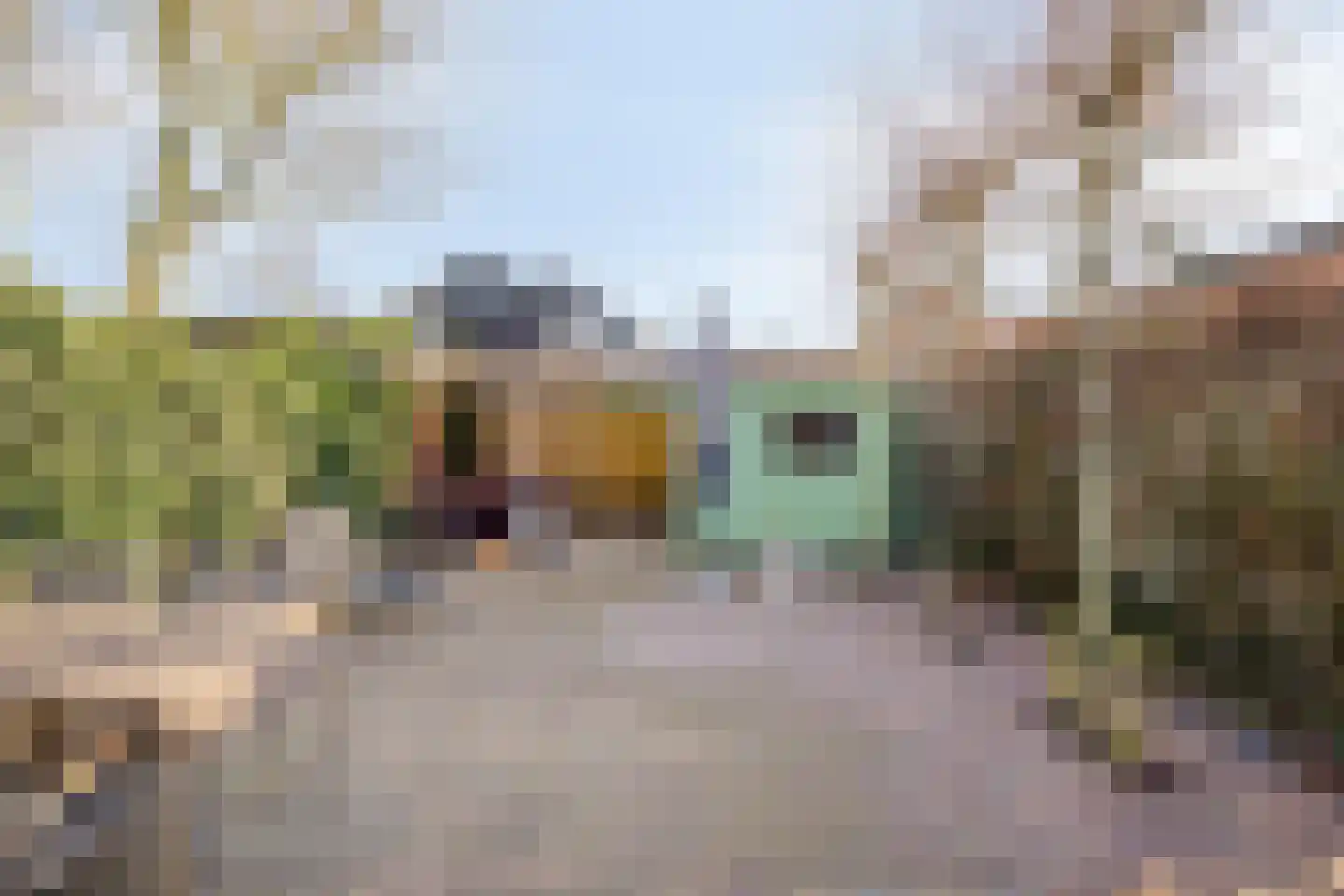 Oude Rijksstraatweg 11 Twello thumbnail 33