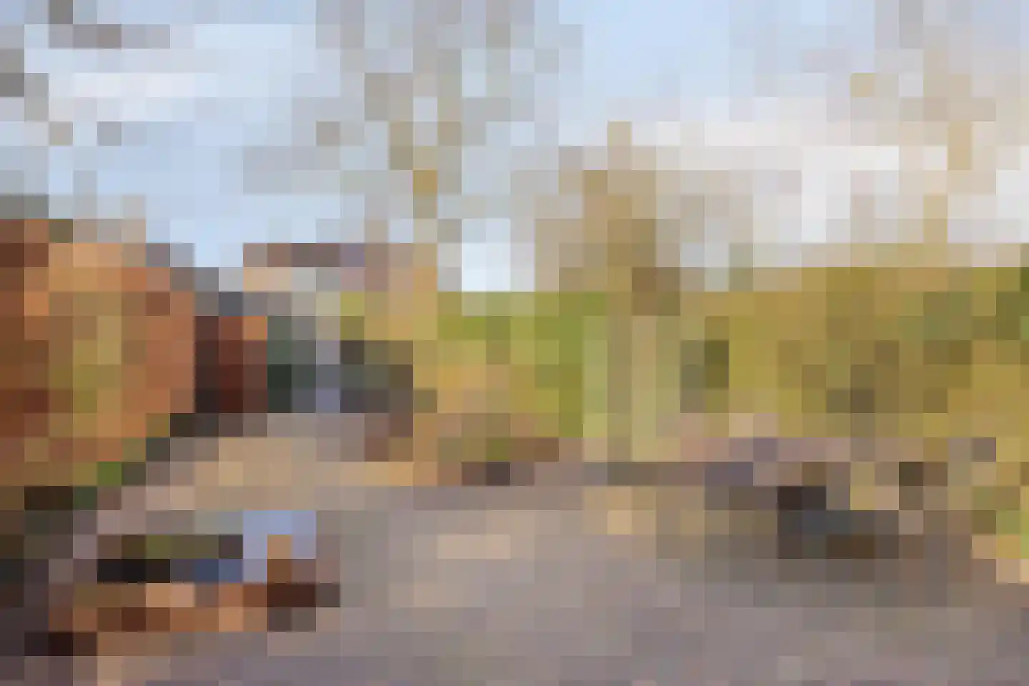 Oude Rijksstraatweg 11 Twello thumbnail 35