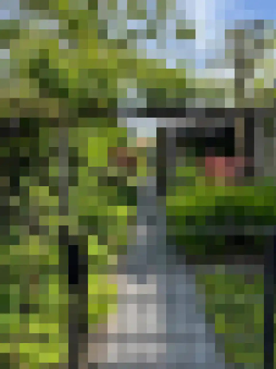 Oude Rijksstraatweg 11 Twello thumbnail 39