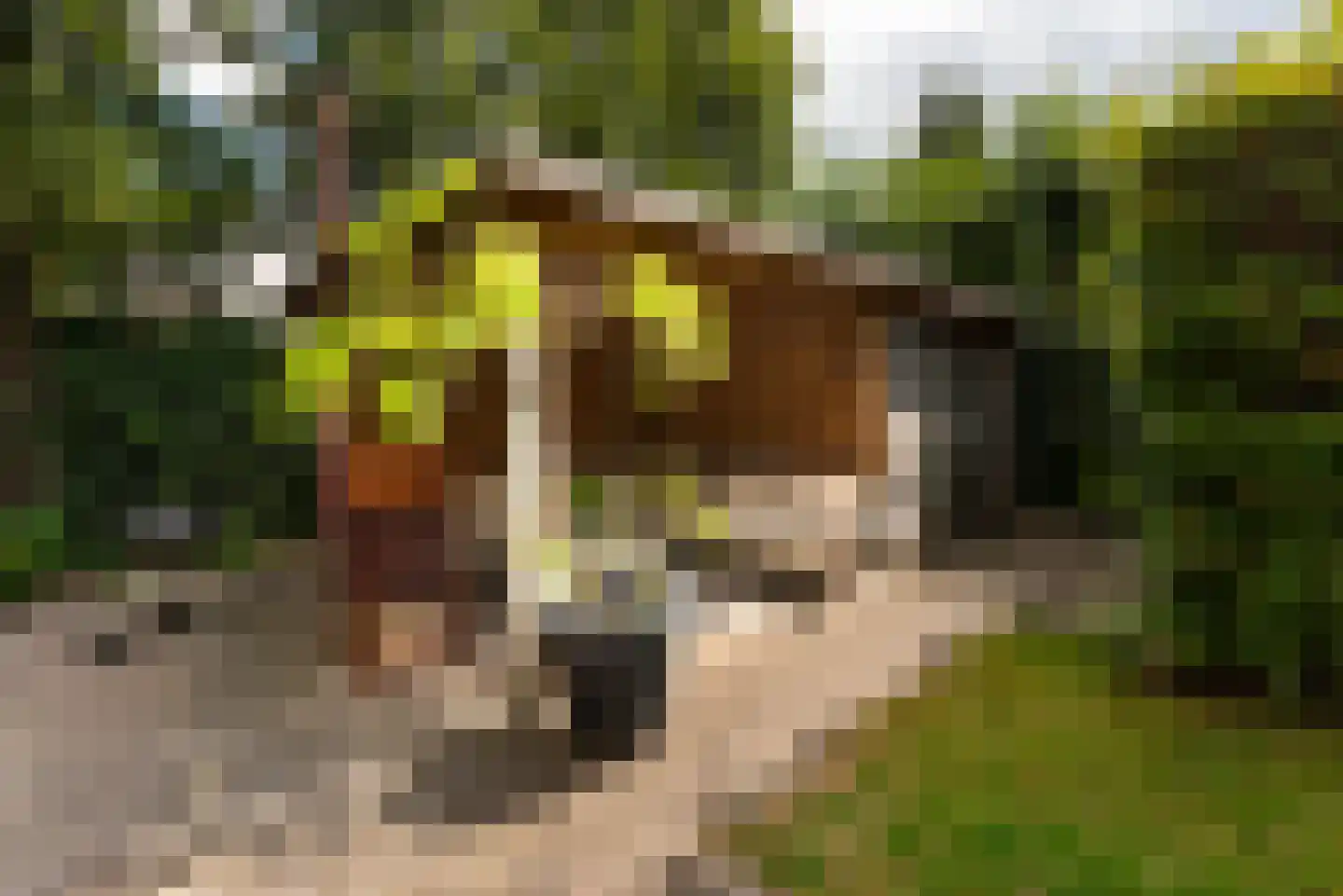 Oude Rijksstraatweg 12 a Doorn thumbnail 39