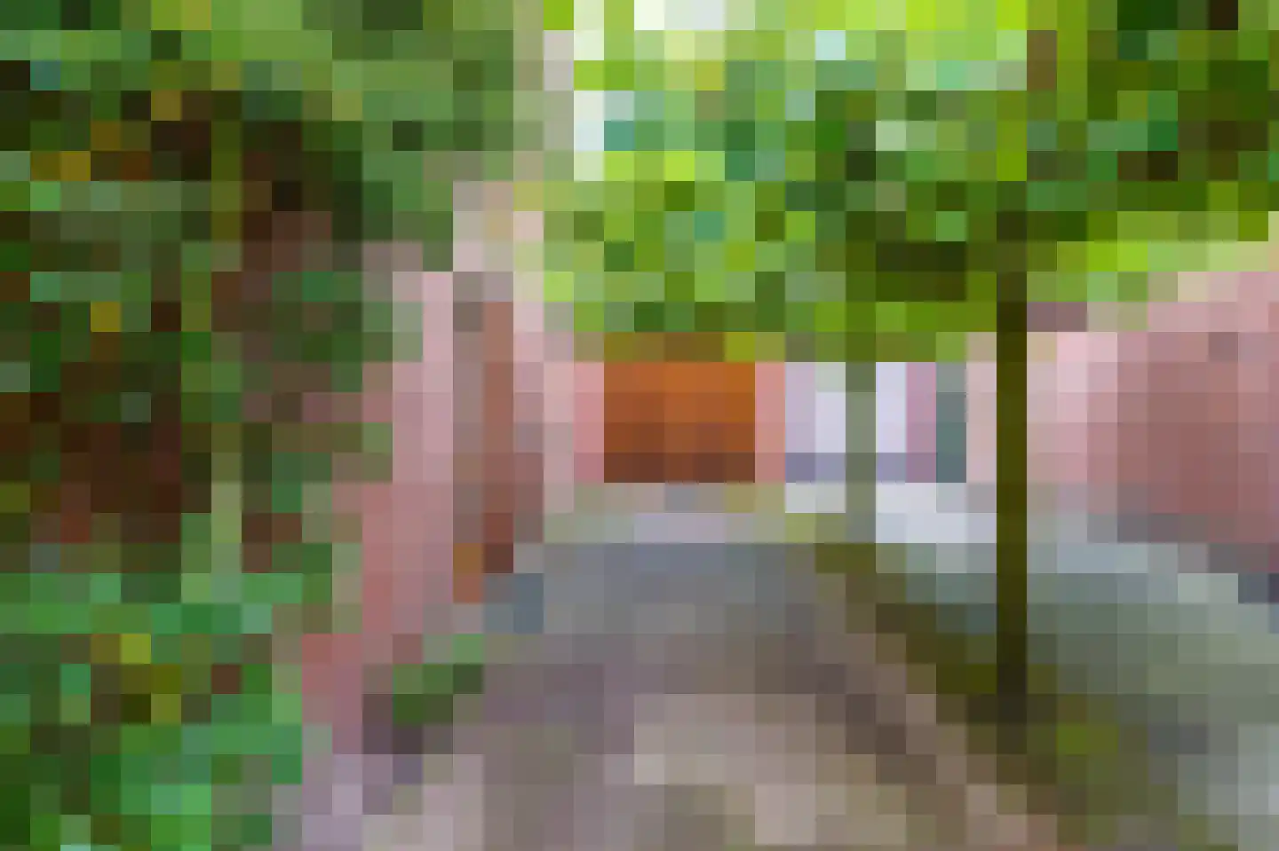Oude Rijksstraatweg 6 Doorn thumbnail 4